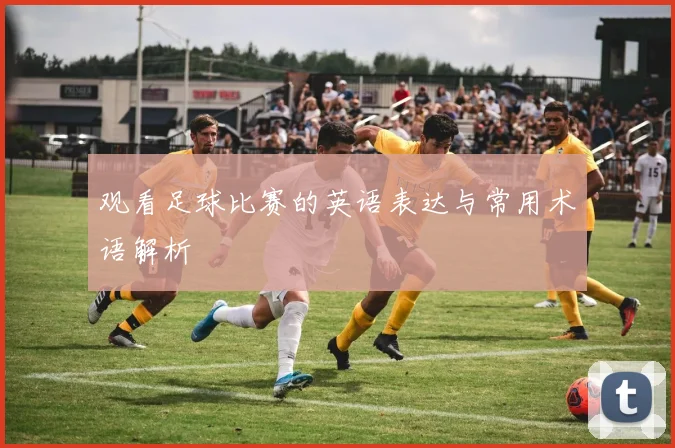 观看足球比赛的英语表达与常用术语解析