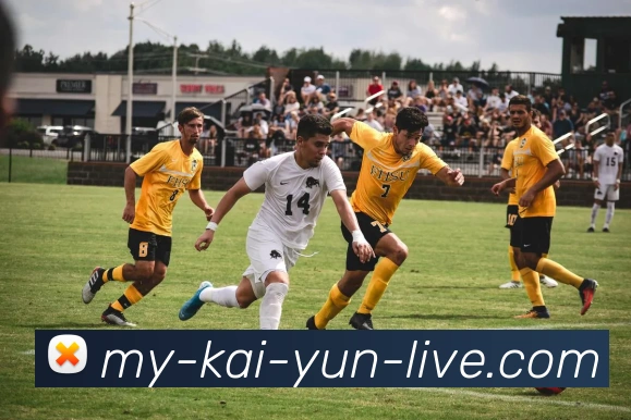 多媒体互动体验